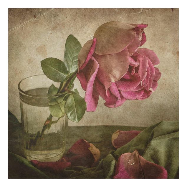 Billeder blomster Tear Of A Rose