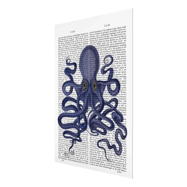 Billeder Animal Reading - Octopus