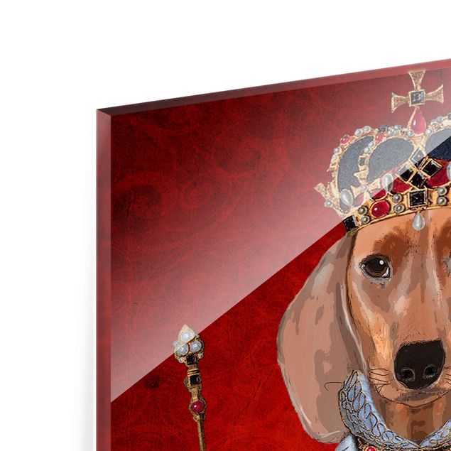 Glas magnettavla Animal Portrait - Dachshund Queen