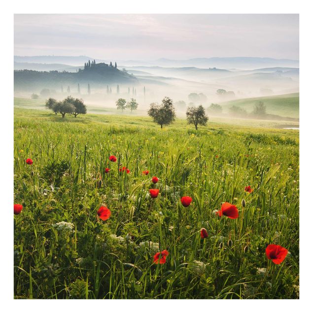 Glasbilleder blomster Tuscan Spring
