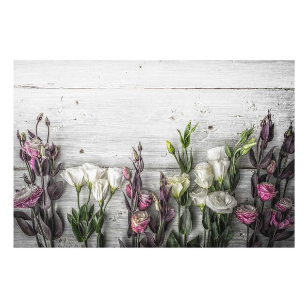 Billeder blomster Tulip Rose Shabby Wood Look