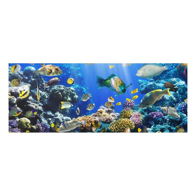 Billeder hav Underwater Reef