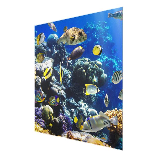 Glasbilleder strande Underwater Reef