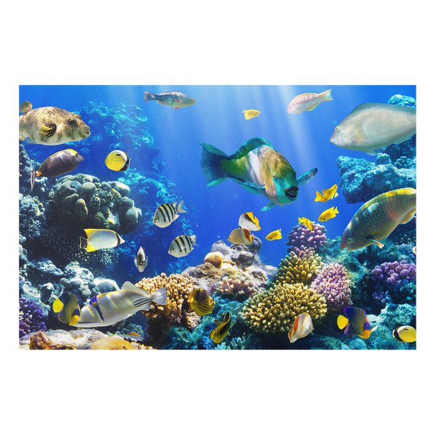 Billeder hav Underwater Reef