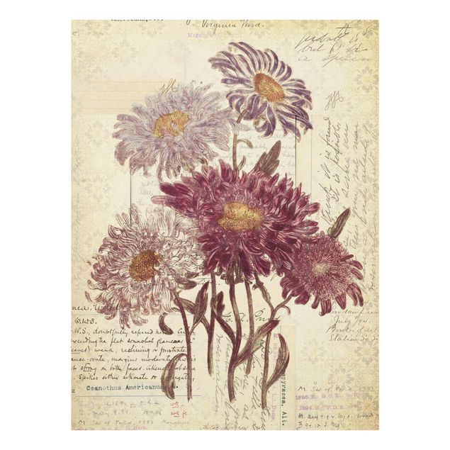 Billeder Vintage Flowers With Handwriting