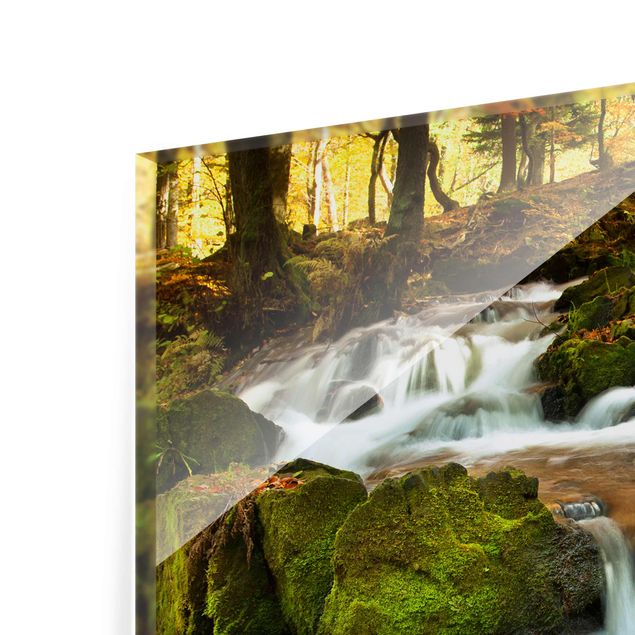 Billeder grøn Waterfall Autumnal Forest