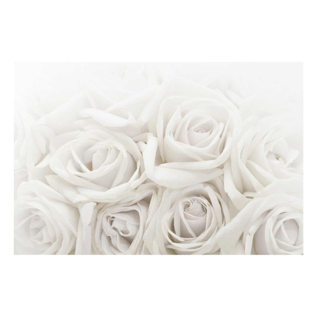 Billeder blomster Wedding Roses