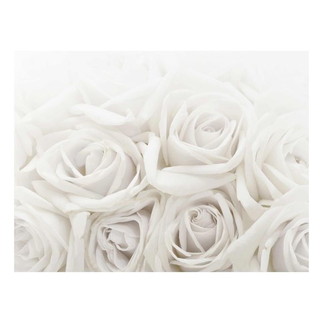 Billeder blomster Wedding Roses