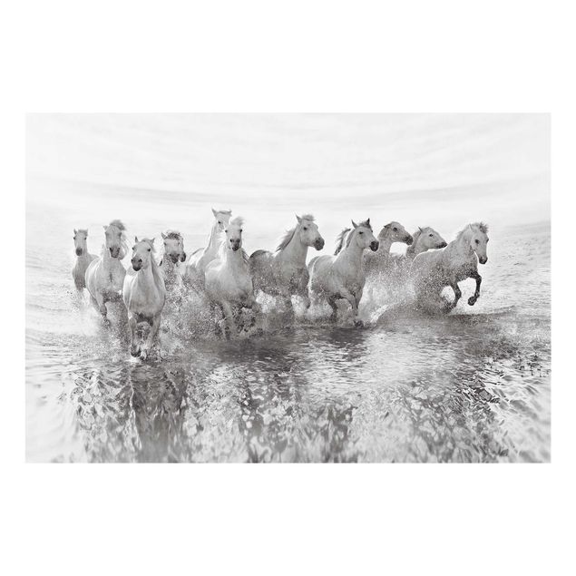 Billeder strande White Horses In The Ocean