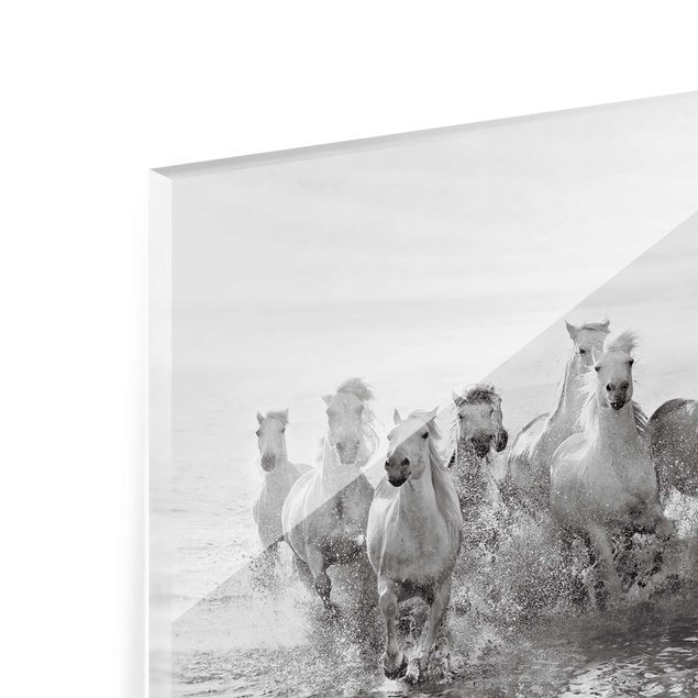 Glasbilleder sort og hvid White Horses In The Ocean