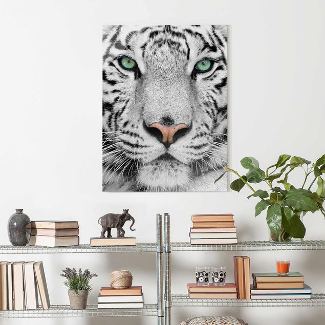 Glasbilleder sort og hvid White Tiger