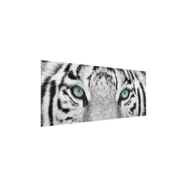 Glasbilleder dyr White Tiger