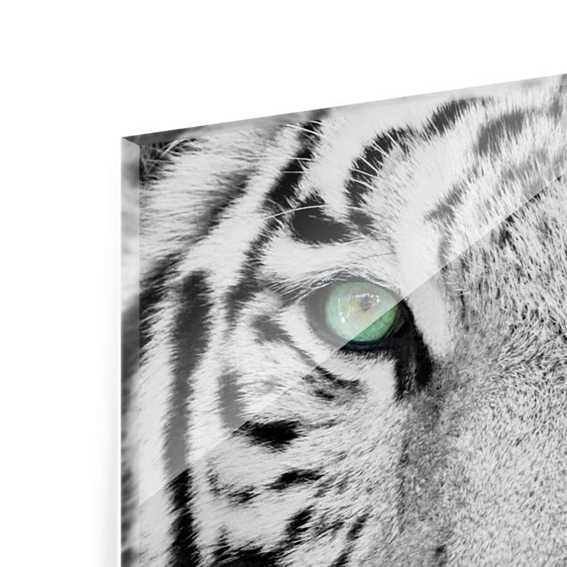 Glas magnettavla White Tiger