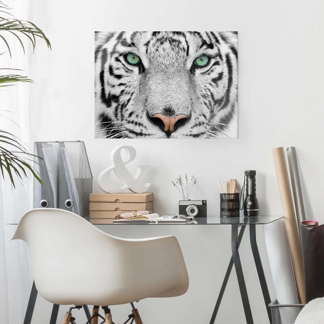 Glasbilleder sort og hvid White Tiger