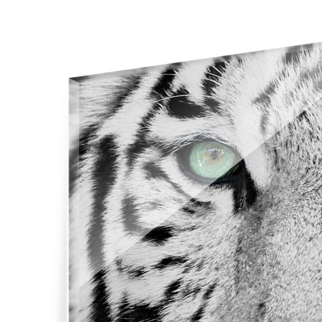 Glas magnettavla White Tiger