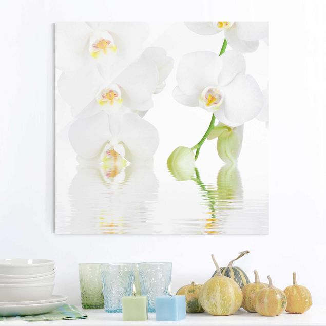 Glasbilleder orkideer Spa Orchid - White Orchid