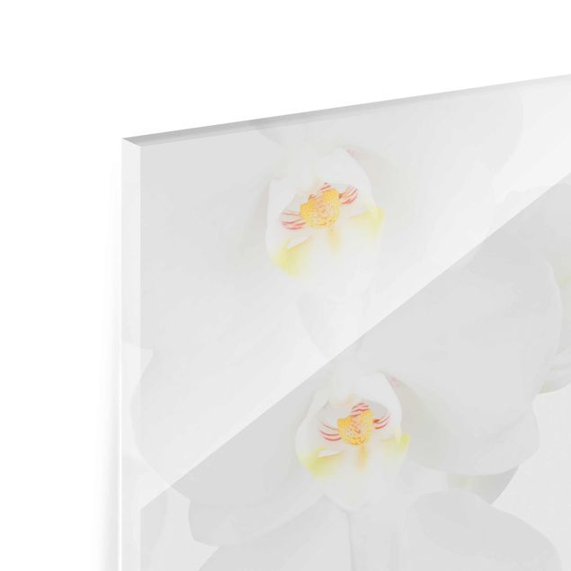 Glas magnettavla Spa Orchid - White Orchid