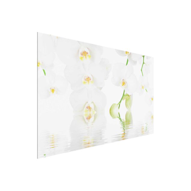 Glasbilleder blomster Spa Orchid - White Orchid