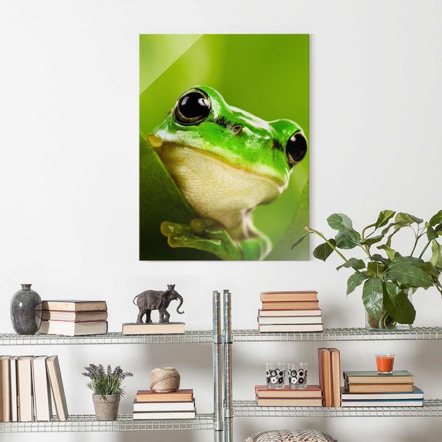 Glasbilleder dyr Frog