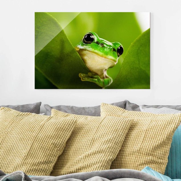 Glasbilleder dyr Frog