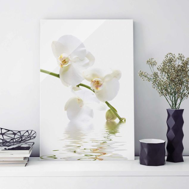 Glasbilleder orkideer White Orchid Waters
