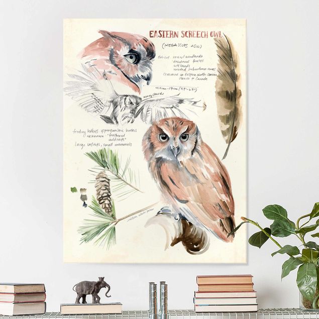 Glasbilleder blomster Wilderness Journal - Owl