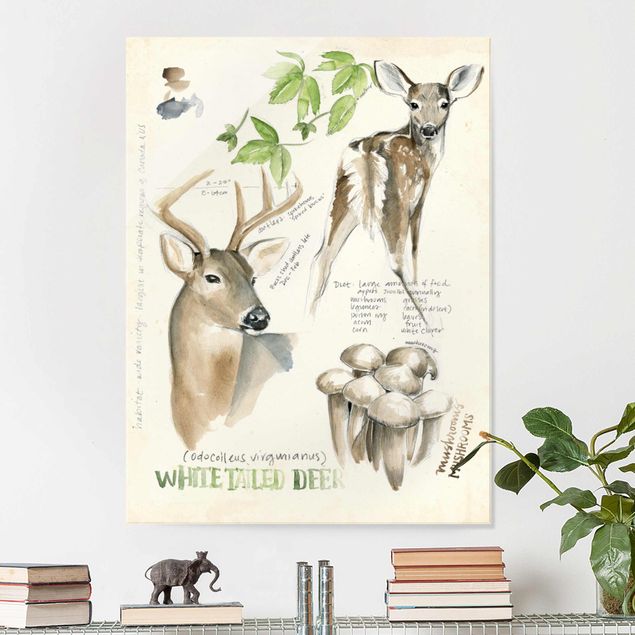 køkken dekorationer Wilderness Journal - Deer