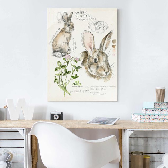 Glasbilleder blomster Wilderness Journal - Rabbit
