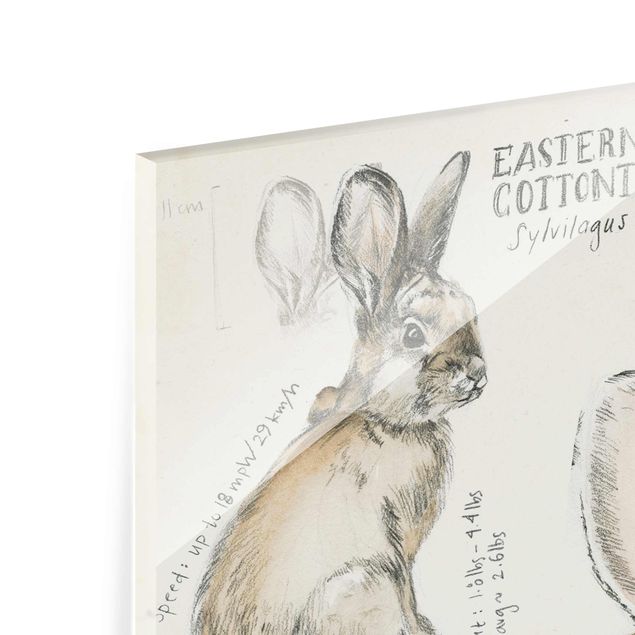 Glas magnettavla Wilderness Journal - Rabbit