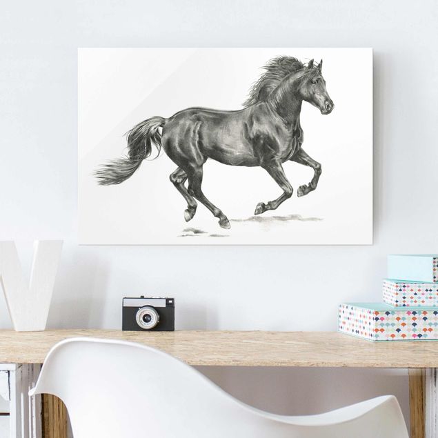 Billeder heste Wild Horse Trial - Stallion