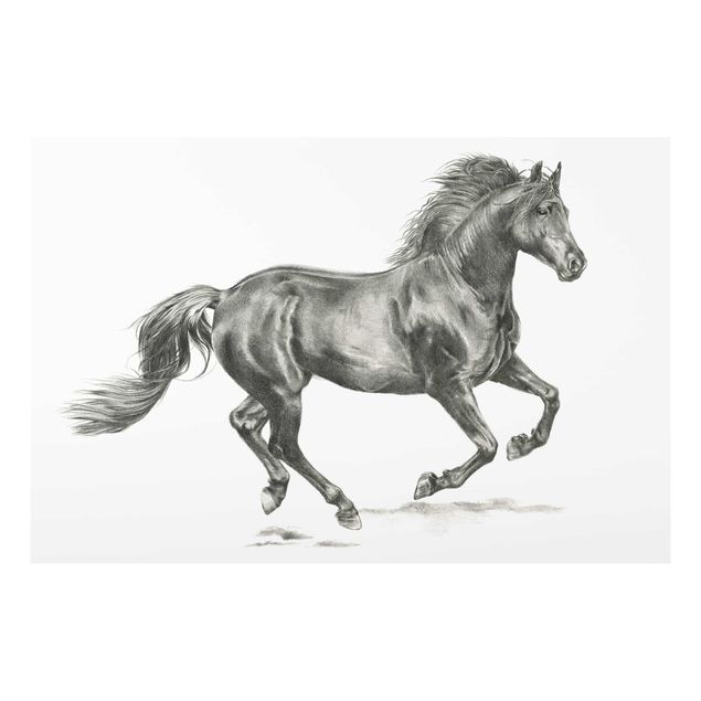 Billeder moderne Wild Horse Trial - Stallion