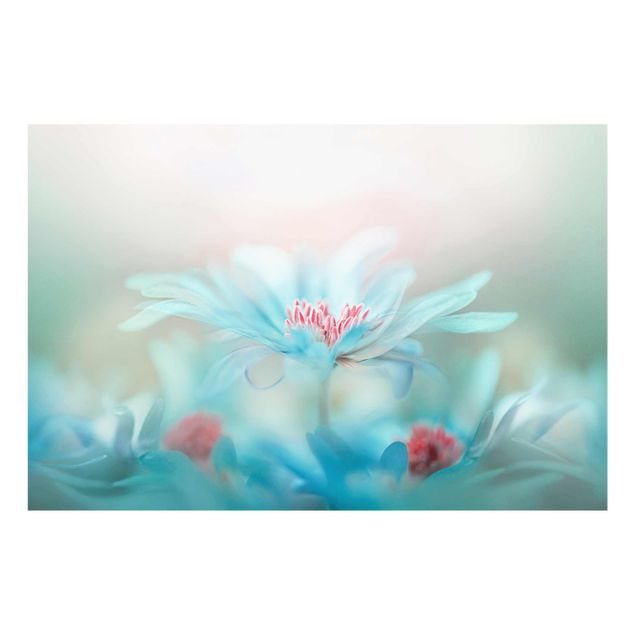 Billeder turkis Delicate Flowers In Pastel