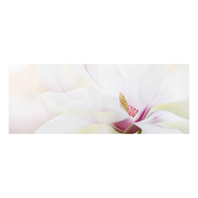 Billeder Delicate Magnolia Blossom