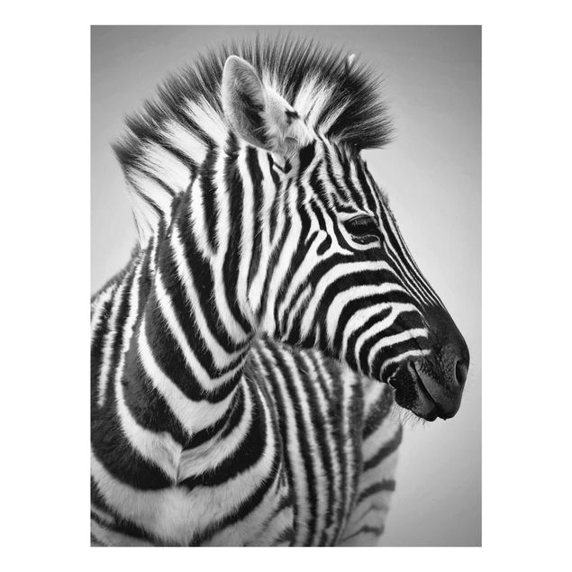 Billeder Afrika Zebra Baby Portrait II