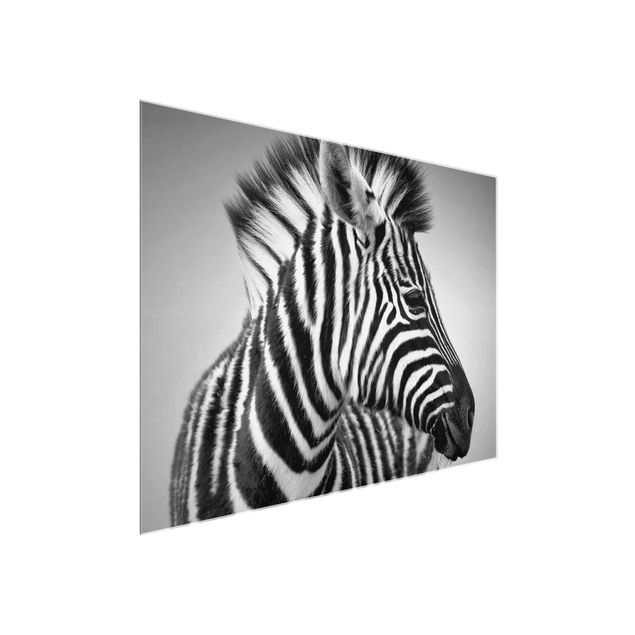 Glasbilleder dyr Zebra Baby Portrait II
