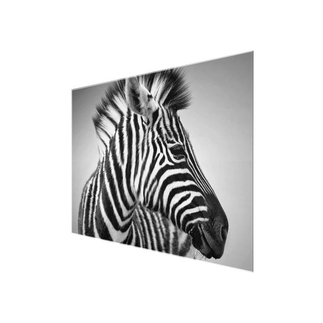 Billeder sort og hvid Zebra Baby Portrait II