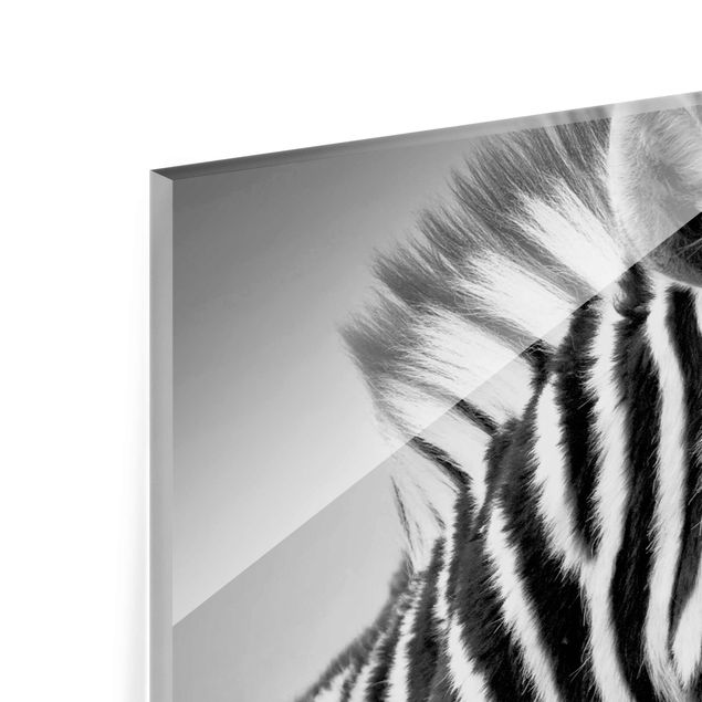 Glas magnettavla Zebra Baby Portrait II
