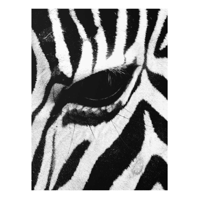 Billeder Afrika Zebra Crossing