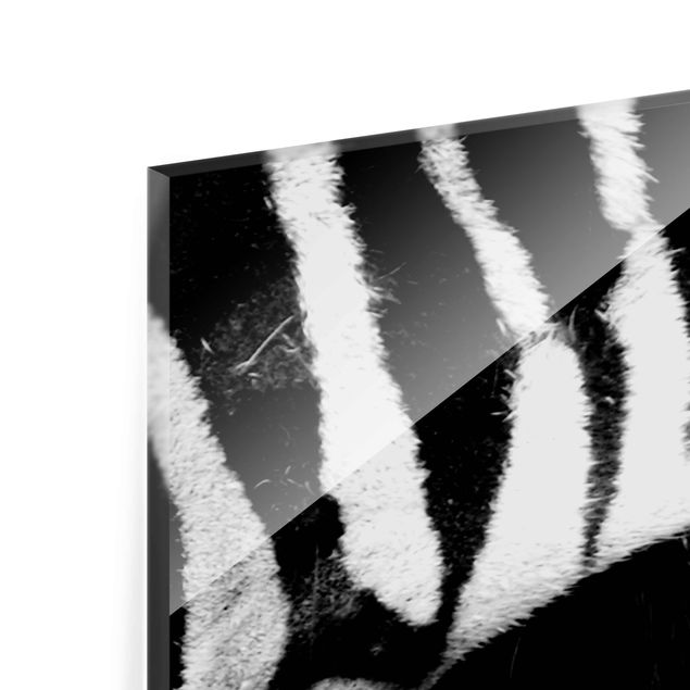 Glas magnettavla Zebra Crossing