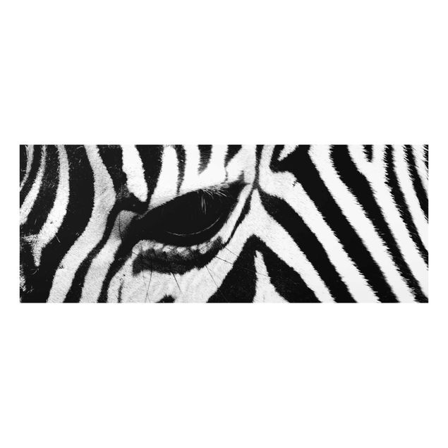 Billeder Afrika Zebra Crossing