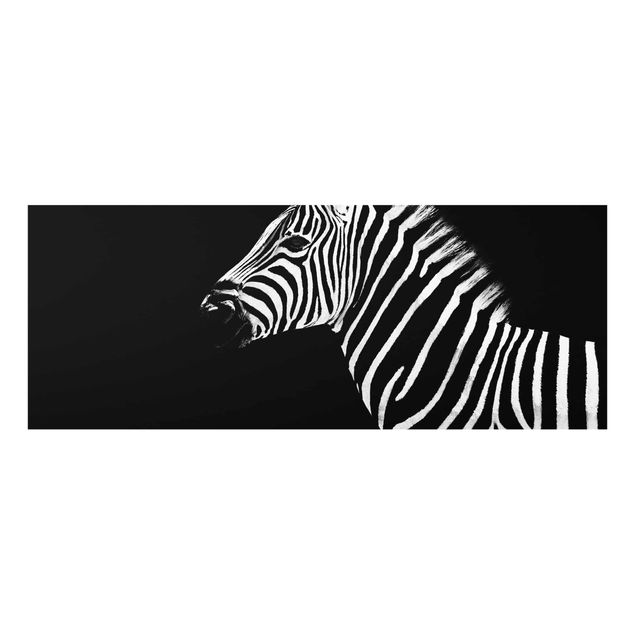 Billeder moderne Zebra Safari Art