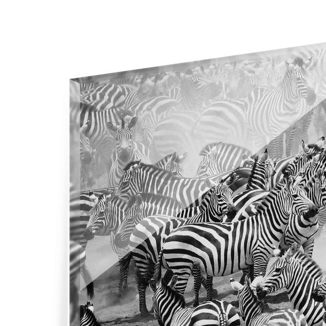 Glas magnettavla Zebra herd II