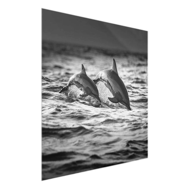 Glasbilleder dyr Two Jumping Dolphins