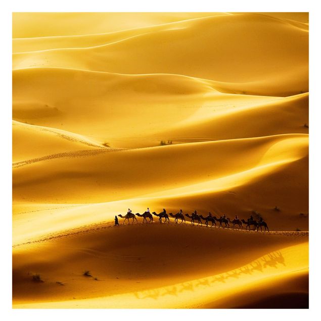 Fototapet gul Golden Dunes