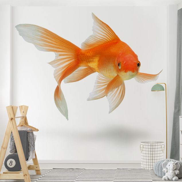 Tapet med fisk Goldfish Is Watching You