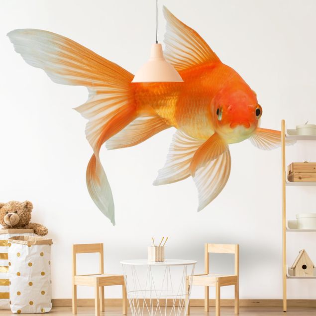 Moderne tapet Goldfish Is Watching You