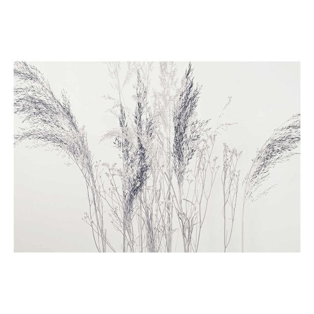 Billeder grå Variations Of Grass