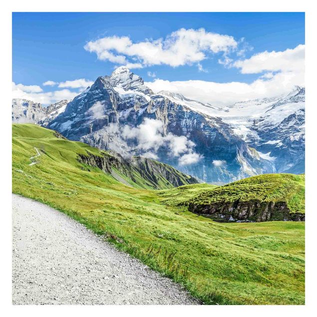Fototapet landskaber Grindelwald Panorama