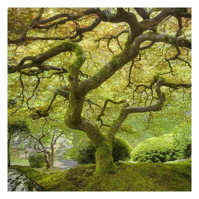 Billeder Rainer Mirau Green Japanese Garden