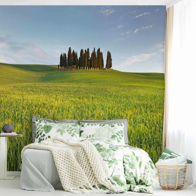 Moderne tapet Green Field In Tuscany